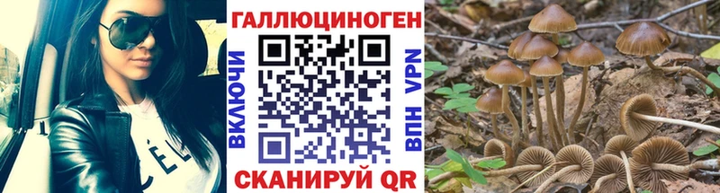 Псилоцибиновые грибы мухоморы  где можно купить наркотик  Санкт-Петербург 